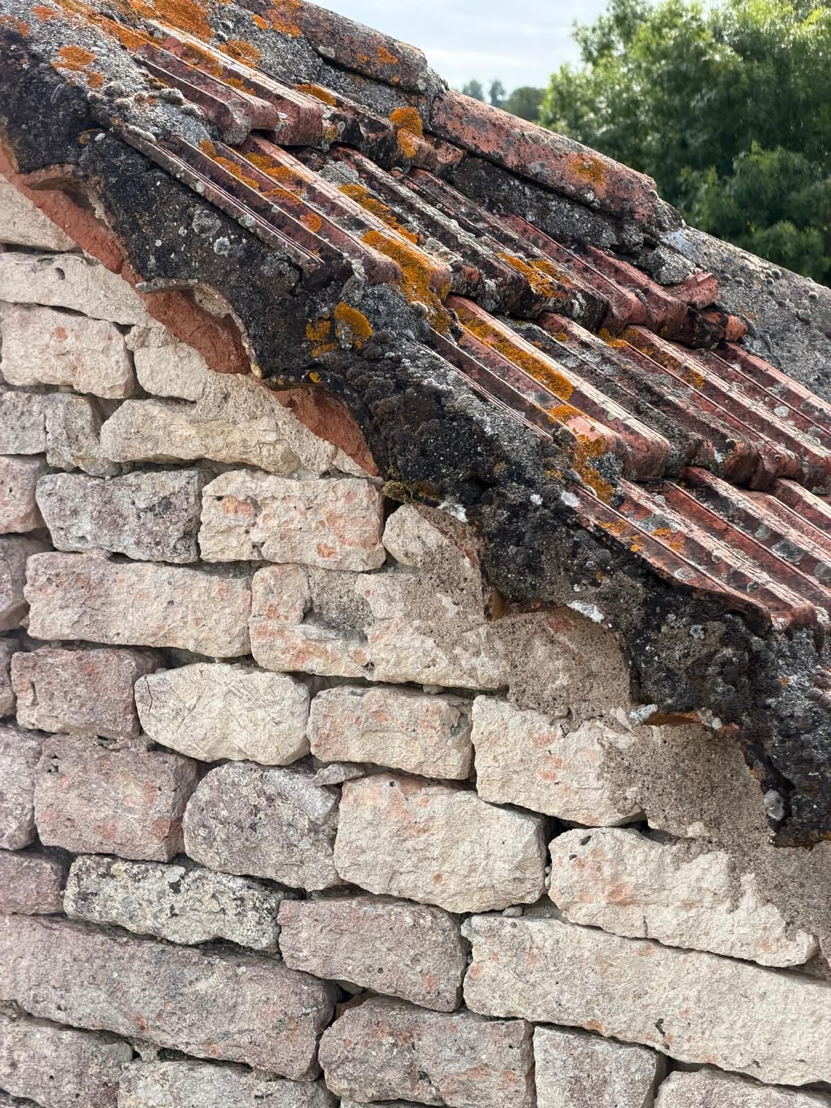 Rive d'une toiture en tuile canal envahie de lichen, au-dessus d'un mur de pierre calcaire appareillée.